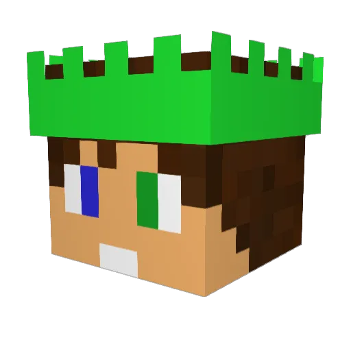 bigbird02 Minecraft avatar head, 3D render