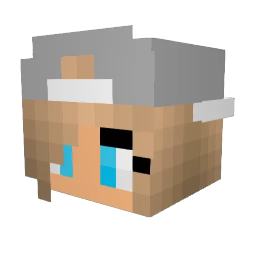 bigblue26 Minecraft avatar head, 3D render