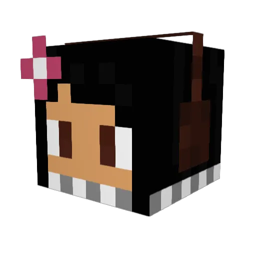 bigblutotoro Minecraft avatar head, 3D render