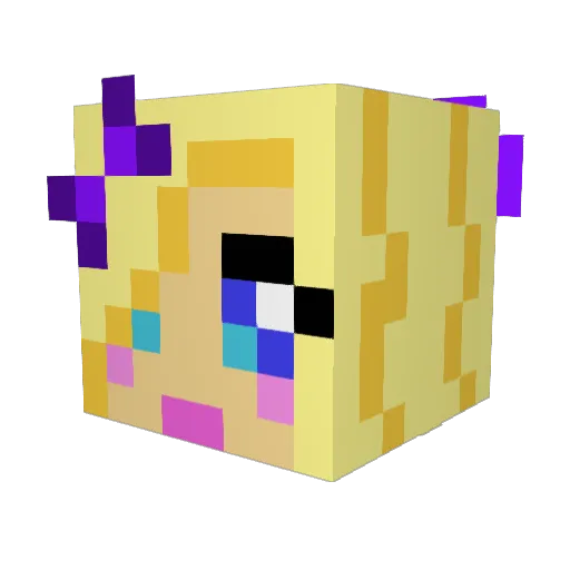bigboat123 Minecraft avatar head, 3D render