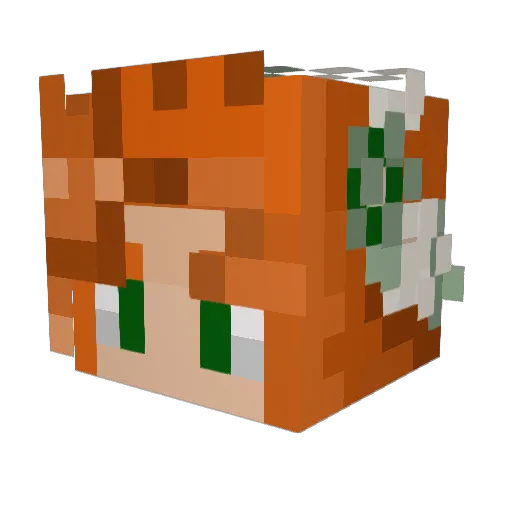bigbookworm123 Minecraft avatar head, 3D render