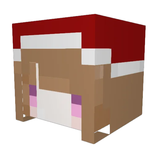 bigboy4134 Minecraft avatar head, 3D render