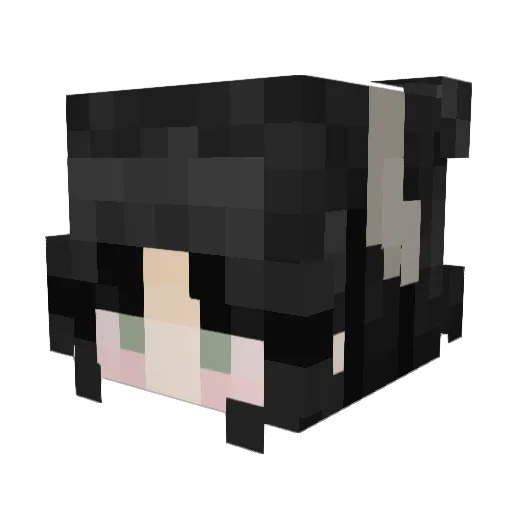 bigboyinyourarea Minecraft avatar head, 3D render