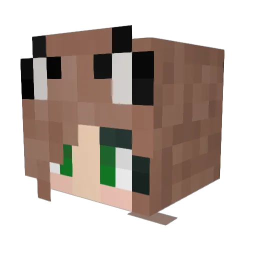 bigbrownchud Minecraft avatar head, 3D render