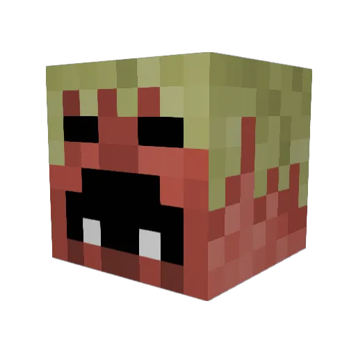 bigbruhh Minecraft avatar head, 3D render