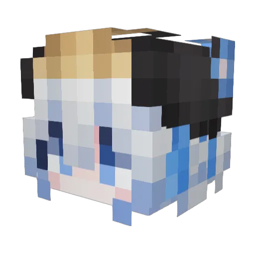 bigdabin Minecraft avatar head, 3D render