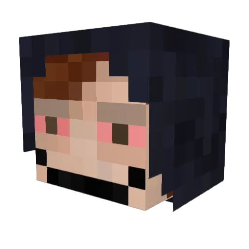 bigdaddyfishlips Minecraft avatar head, 3D render