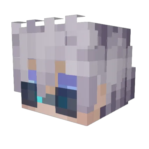 bigdarnell4200 Minecraft avatar head, 3D render