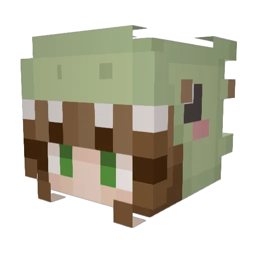 bigdinonuggs Minecraft avatar head, 3D render