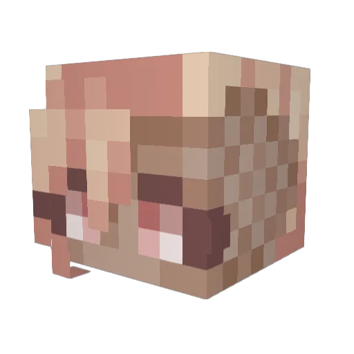 bigdoinkdave Minecraft avatar head, 3D render