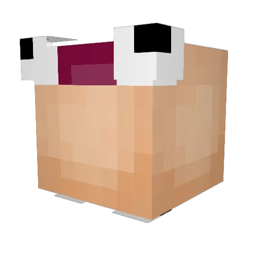 bigdookieman Minecraft avatar head, 3D render