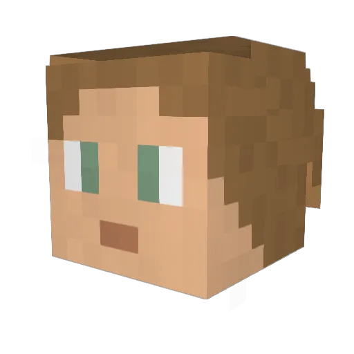 bigdorg Minecraft avatar head, 3D render