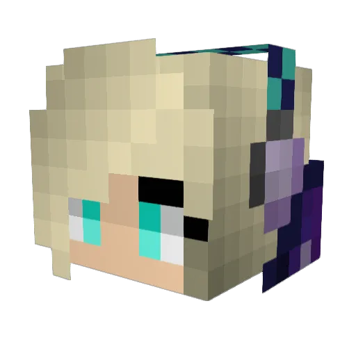 bigdreamer2505 Minecraft avatar head, 3D render