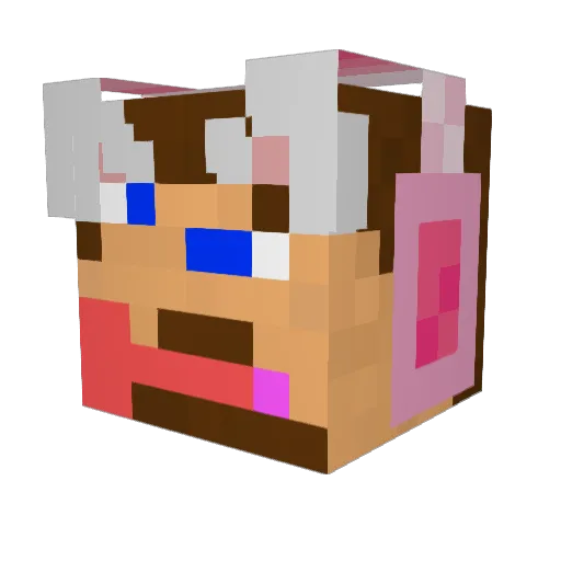 bigduda2024 Minecraft avatar head, 3D render