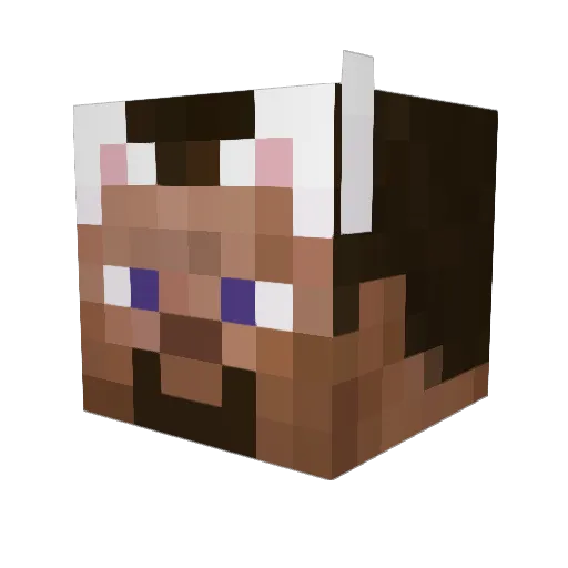 bigdump690 Minecraft avatar head, 3D render