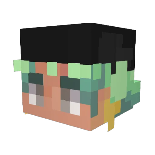 bigflatbarrel789 Minecraft avatar head, 3D render