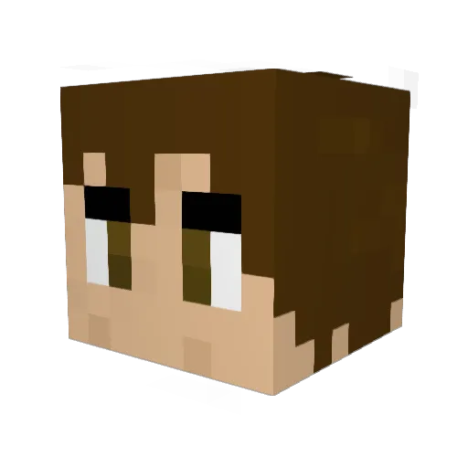 bigfroggy5000 Minecraft avatar head, 3D render