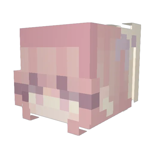 biggarith Minecraft avatar head, 3D render