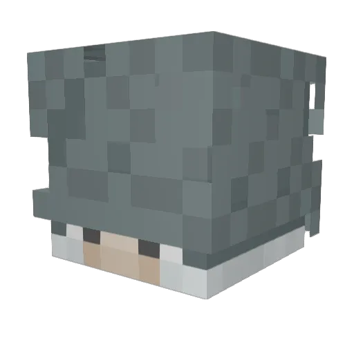 biggmac2000 Minecraft avatar head, 3D render