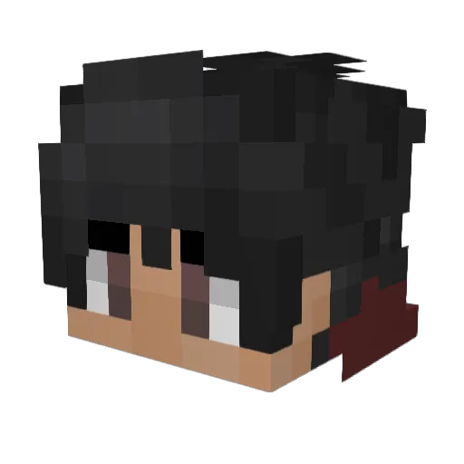 biggreydog Minecraft avatar head, 3D render