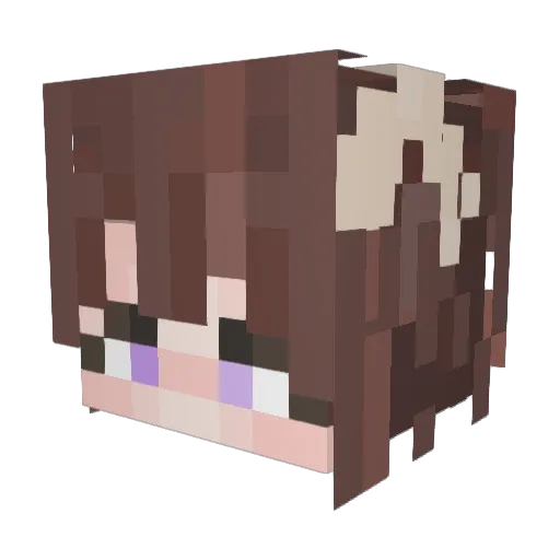 biggwilly Minecraft avatar head, 3D render