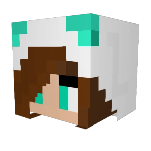 bighungry00 Minecraft avatar head, 3D render