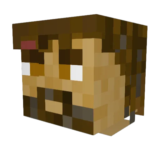 bigj099 Minecraft avatar head, 3D render