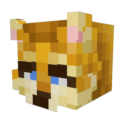 bigjucyballs Minecraft avatar head, 3D render