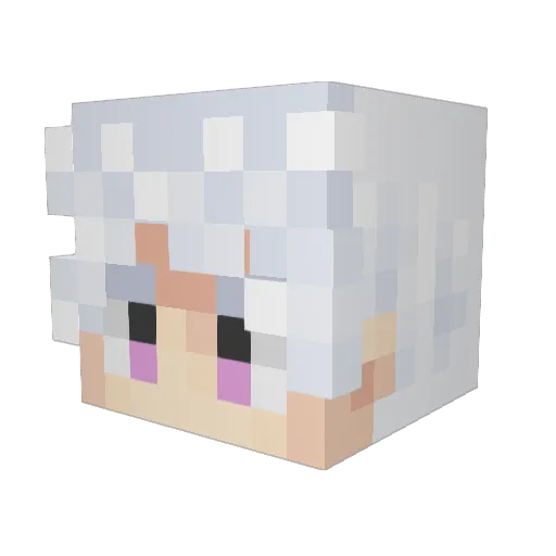 bigjugg Minecraft avatar head, 3D render