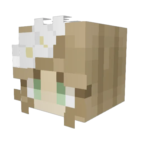 bigkev3 Minecraft avatar head, 3D render