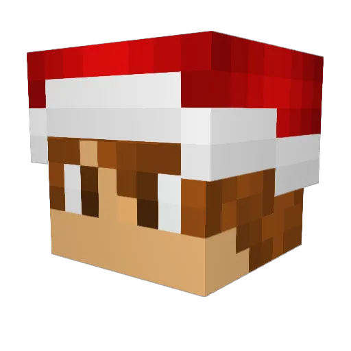 biglipzit Minecraft avatar head, 3D render