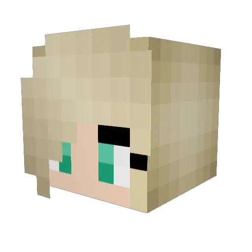 biglittlebug Minecraft avatar head, 3D render