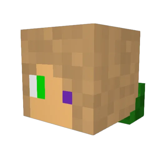 biglyd Minecraft avatar head, 3D render