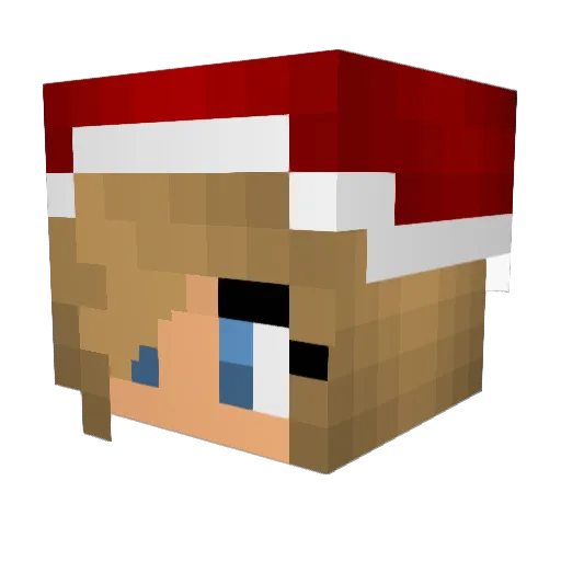 bigmak2285 Minecraft avatar head, 3D render