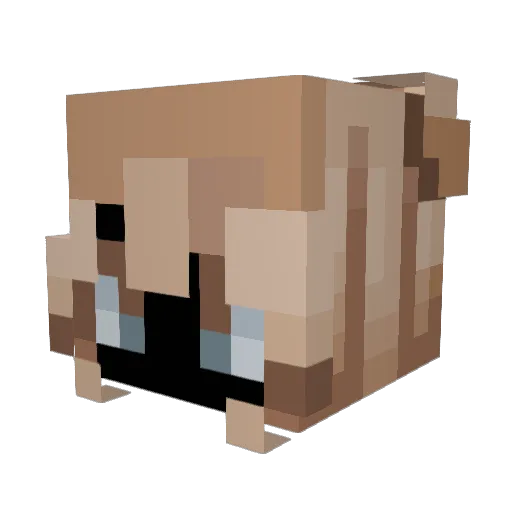 bigman132 Minecraft avatar head, 3D render