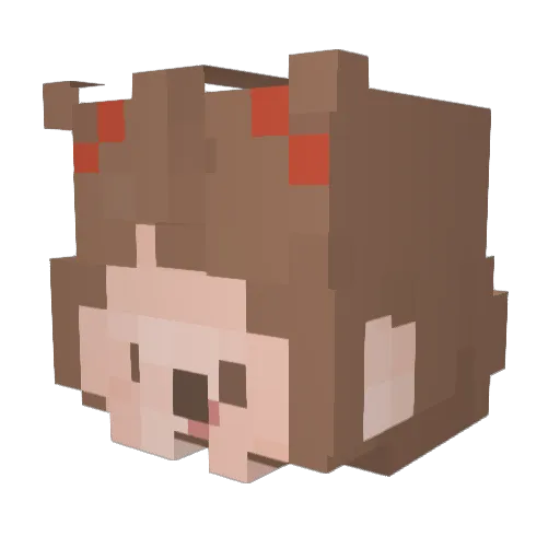 bigmonkeypetter Minecraft avatar head, 3D render