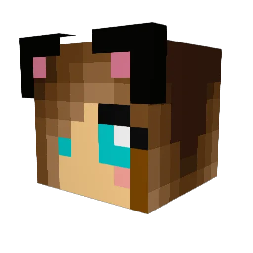 bignickpro Minecraft avatar head, 3D render