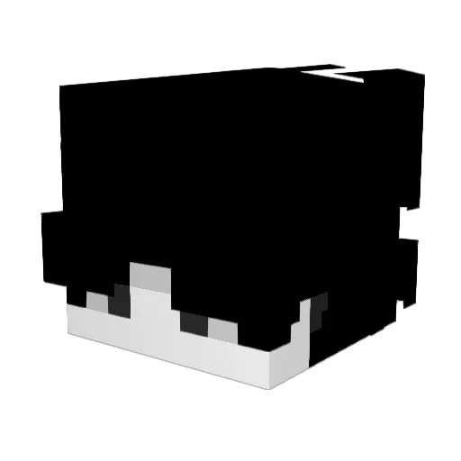 bigolas3 Minecraft avatar head, 3D render