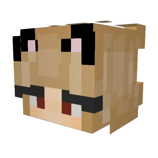 bigoleduck Minecraft avatar head, 3D render