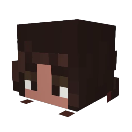 bigonka Minecraft avatar head, 3D render