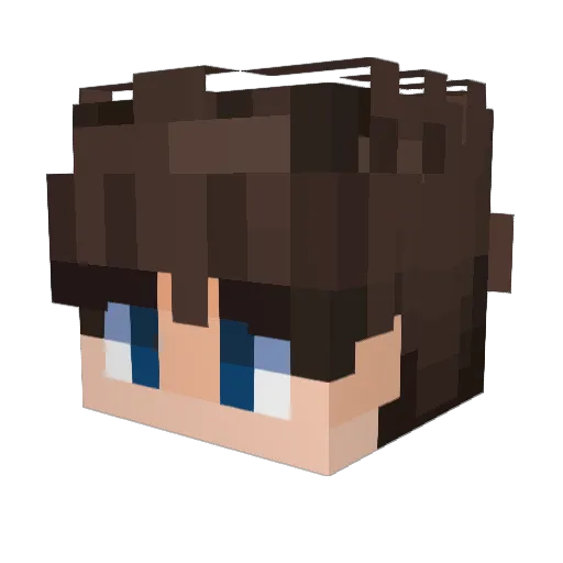 bigosfilip Minecraft avatar head, 3D render