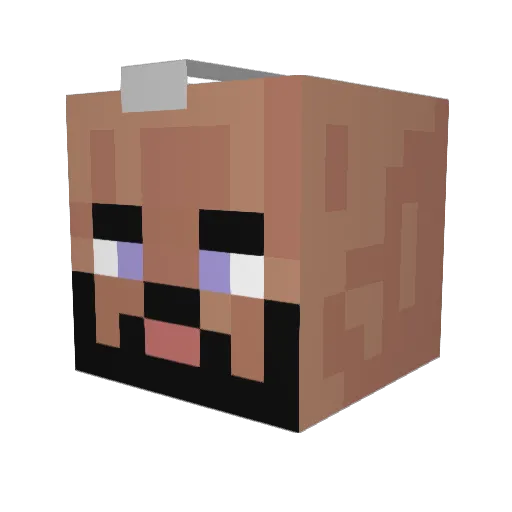 bigosu365 Minecraft avatar head, 3D render