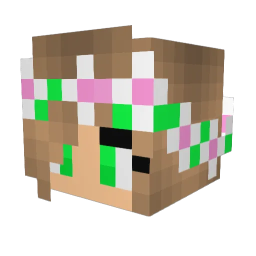 bigperm907 Minecraft avatar head, 3D render
