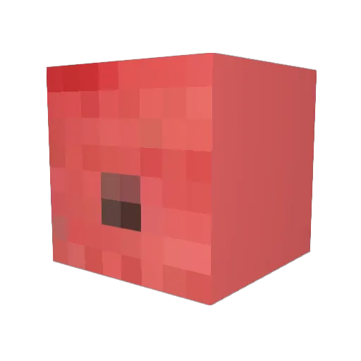 bigpocketlint Minecraft avatar head, 3D render