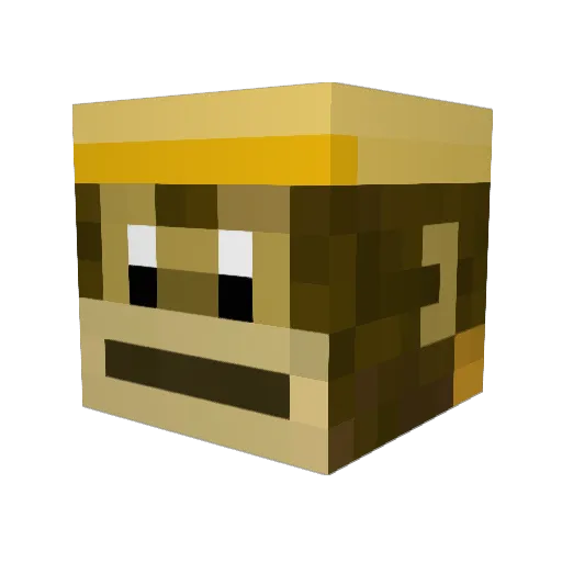 bigrat23 Minecraft avatar head, 3D render