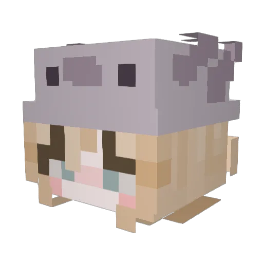 bigsegc Minecraft avatar head, 3D render