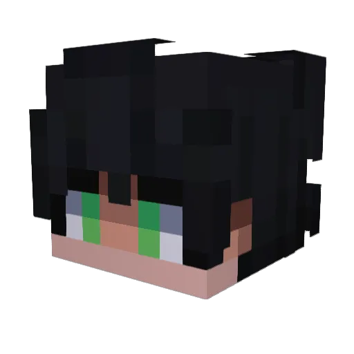 bigshotnine Minecraft avatar head, 3D render