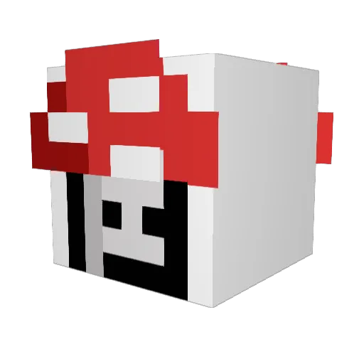 bigshroom33 Minecraft avatar head, 3D render