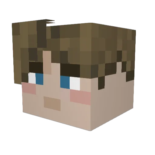 bigslippers Minecraft avatar head, 3D render