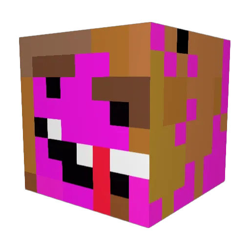 bigsmellydolphin Minecraft avatar head, 3D render